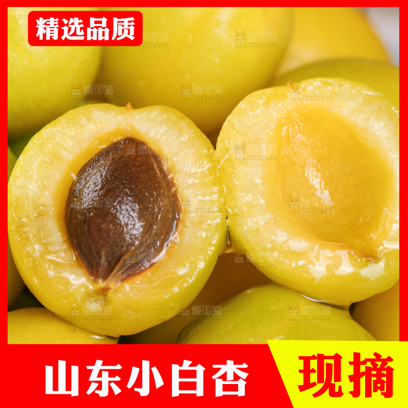 新鲜的小白杏