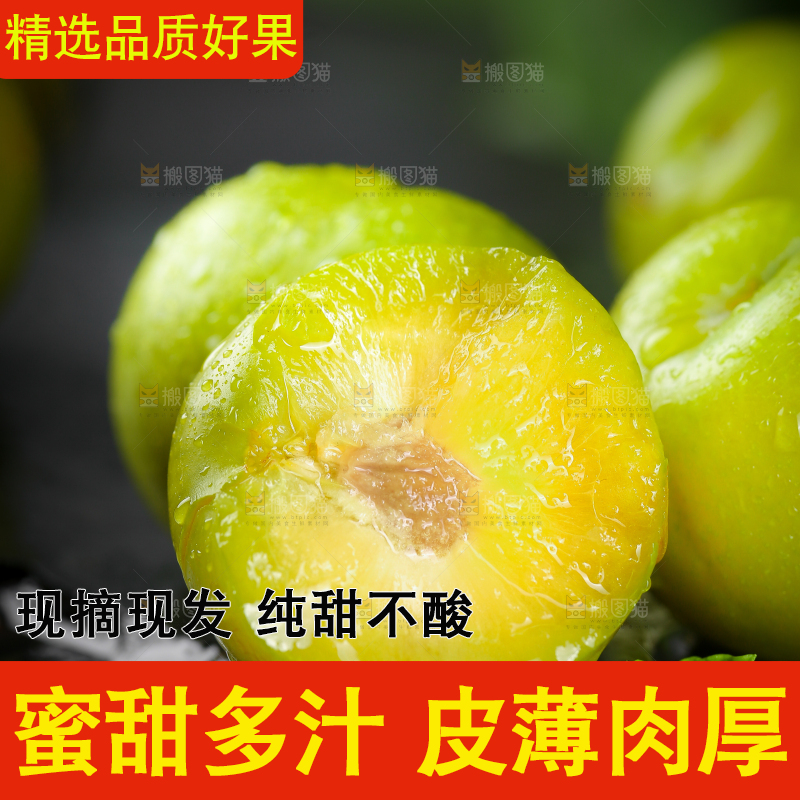 黑底上放着蜂糖李