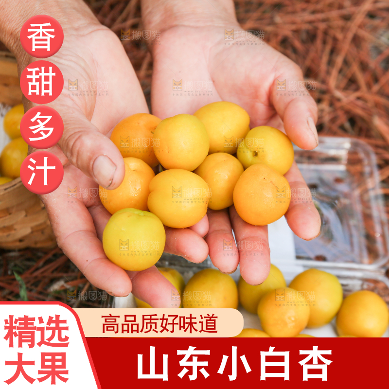 手上捧着小白杏