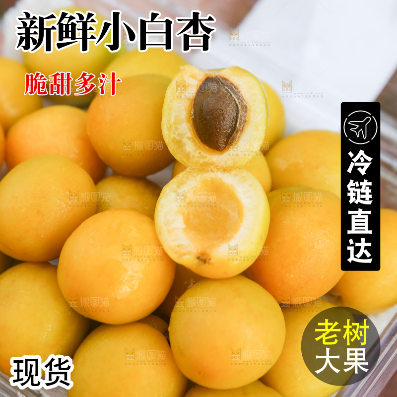 盒子里装着小白杏