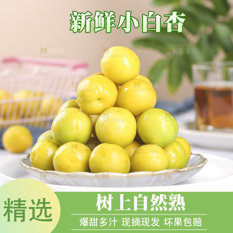 白底上放着一盘小白杏