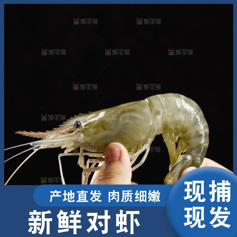 手上拿着的青岛大虾