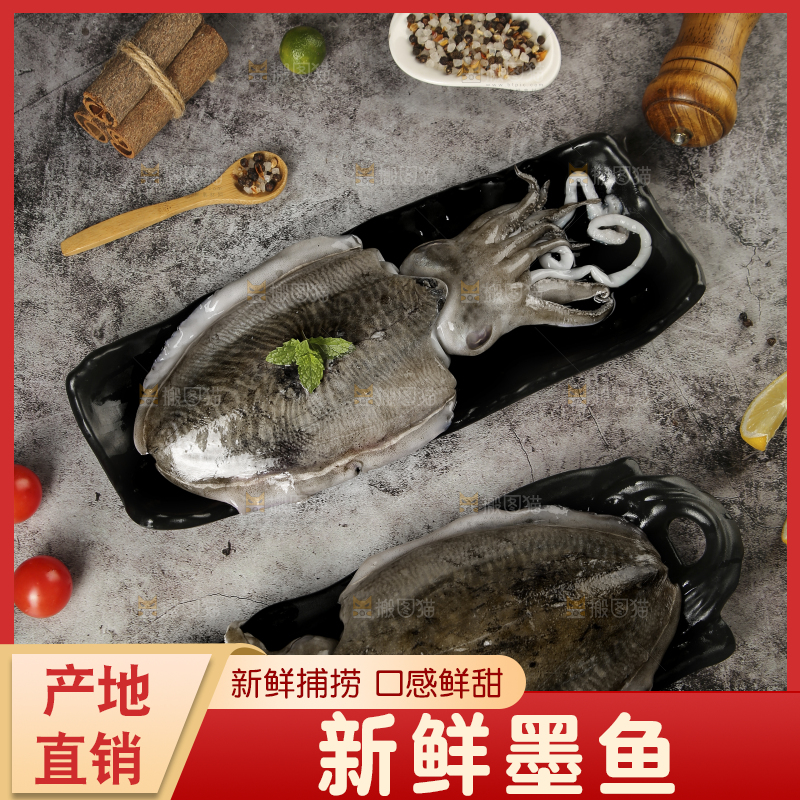 深底上放着墨鱼