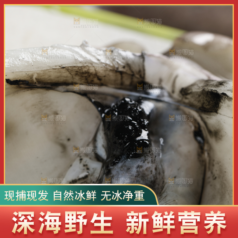 新鲜的野生大墨鱼