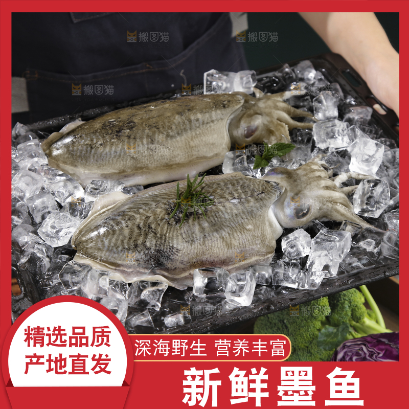 手上捧着的澳洲龙虾