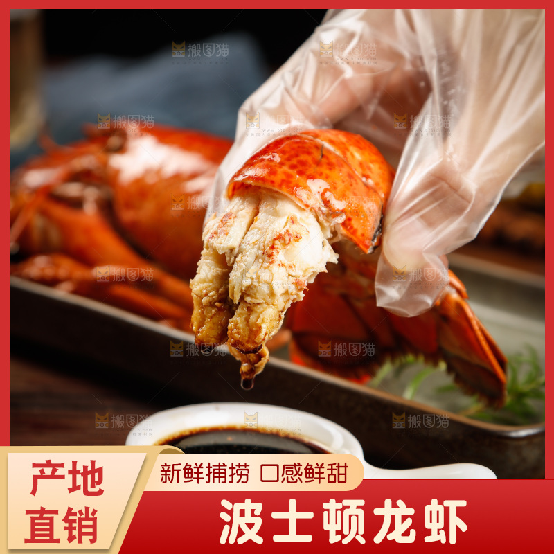 手上拿着波士顿大龙虾