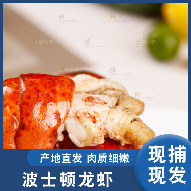 白底上放着波士顿大龙虾