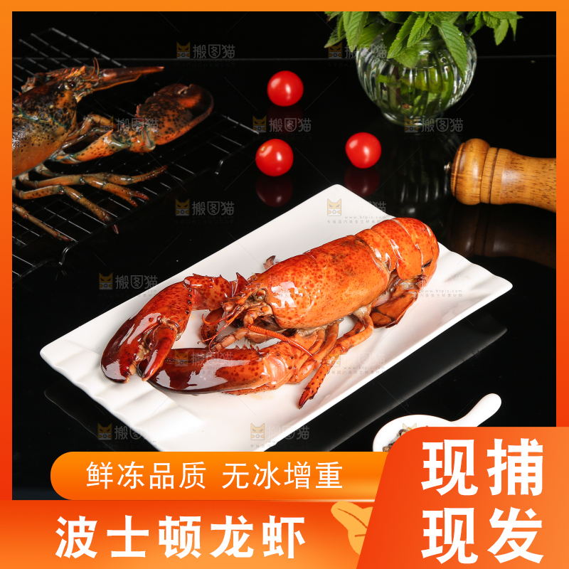 黑底上放着一盘澳洲龙虾