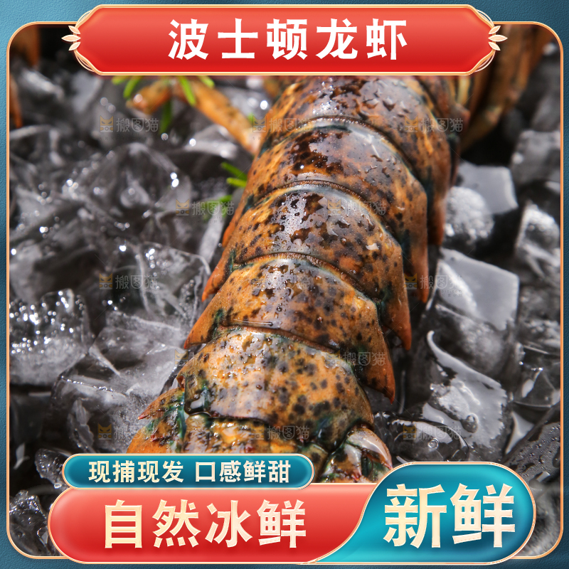 深底上放着澳洲大龙虾