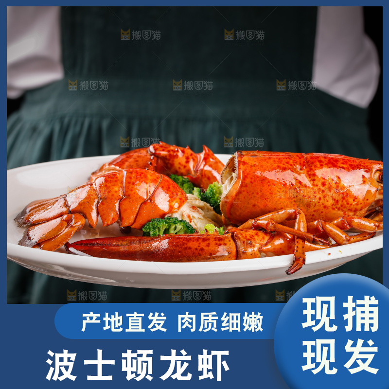 手端着一盘澳洲龙虾