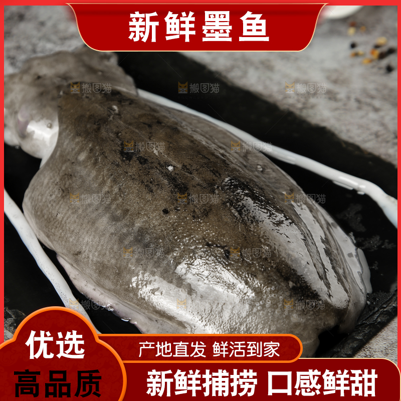黑板上放着墨鱼