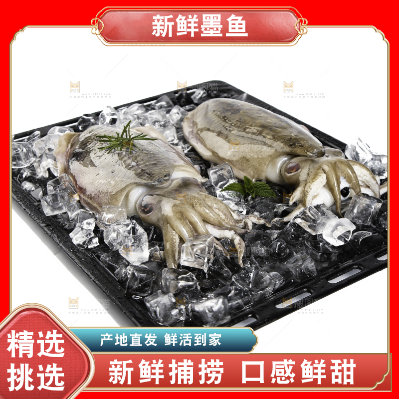 黑底上放着墨鱼