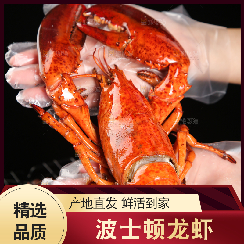 手上捧着波士顿大龙虾
