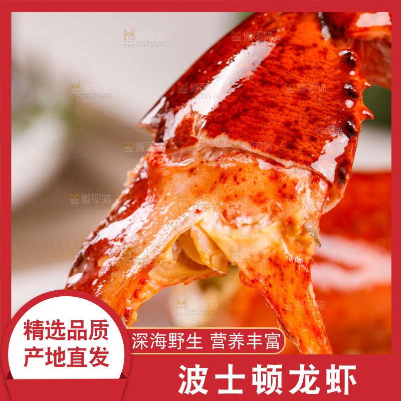 筷子上夹着波士顿大龙虾