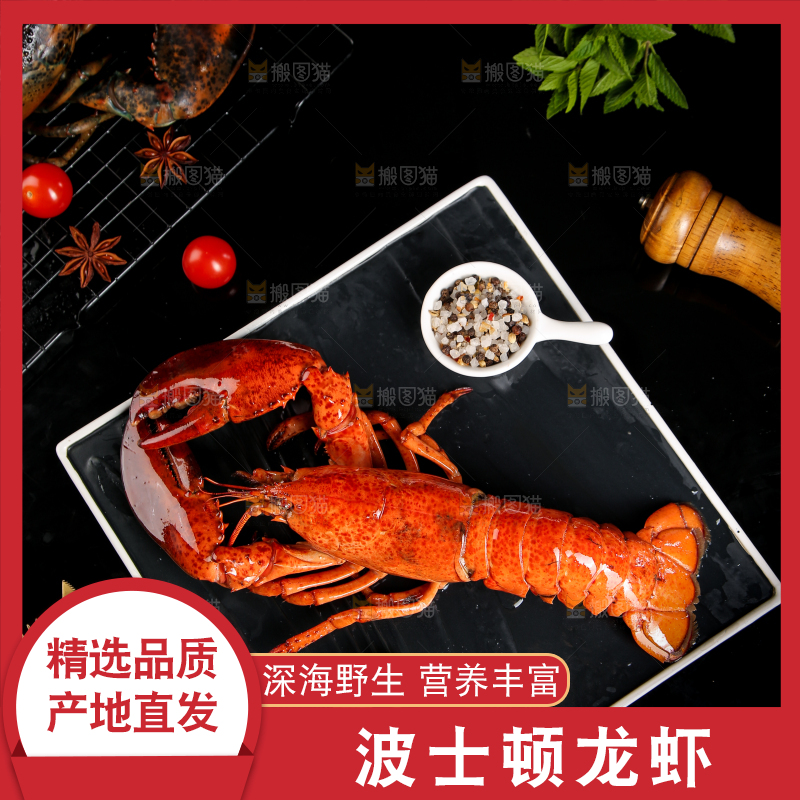 黑底上放着波士顿大龙虾