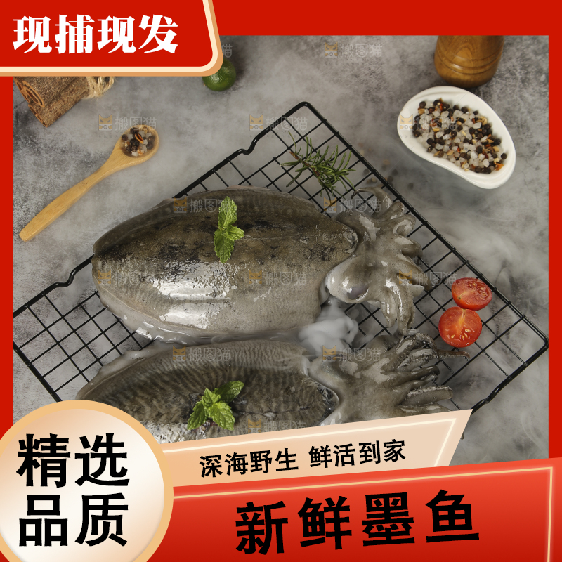 深底上放着墨鱼