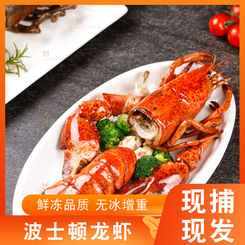 黑底上放着一盘波士顿龙虾