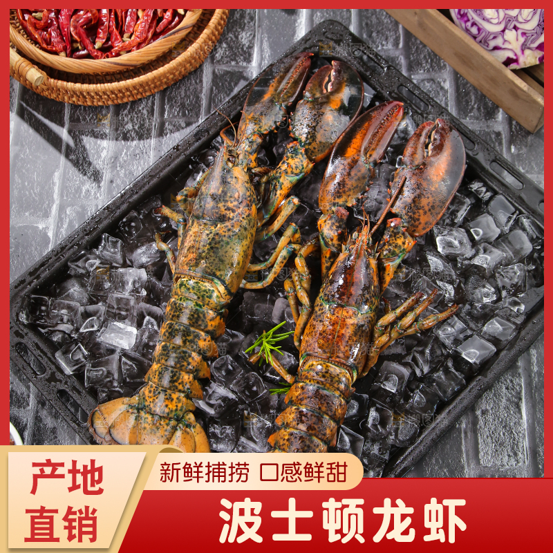 深底上放着澳洲大龙虾