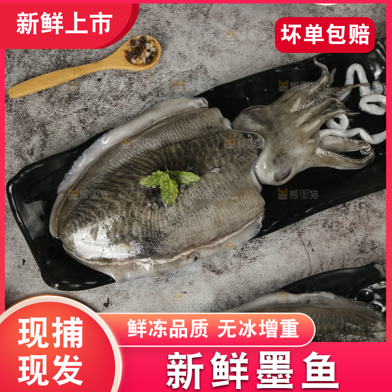 深底上放着墨鱼