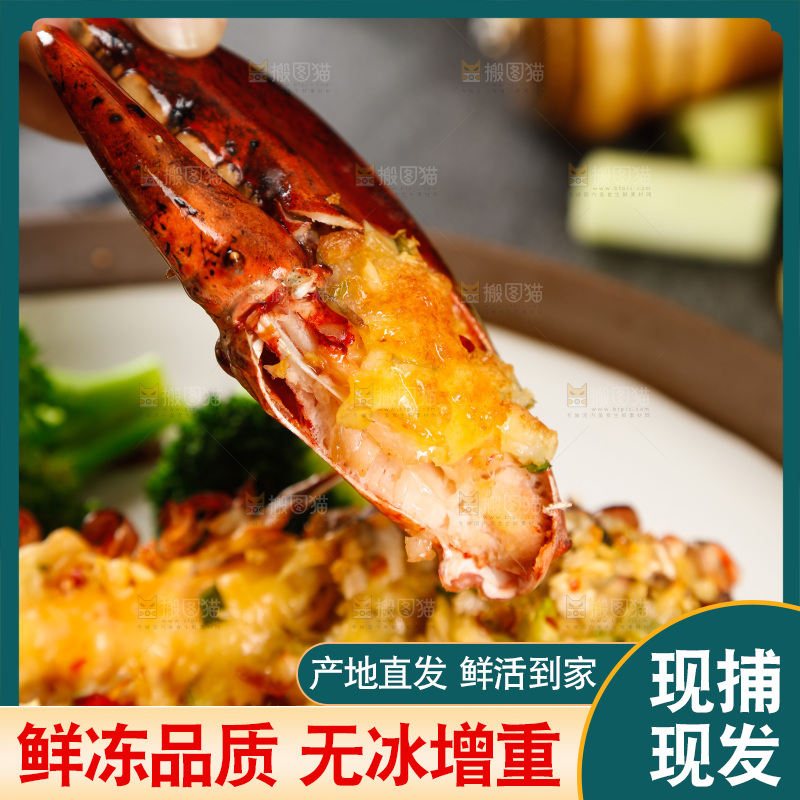 手拿着澳洲龙虾