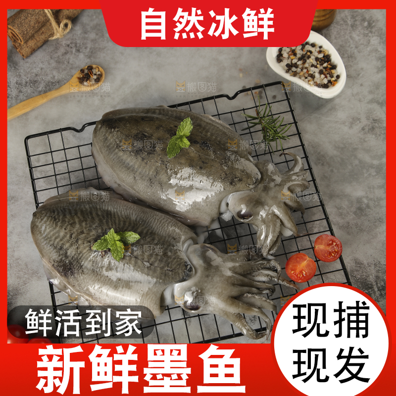 深底上放着墨鱼