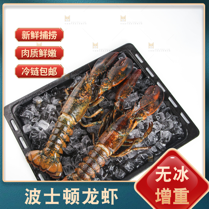 黑板上放着波士顿大龙虾