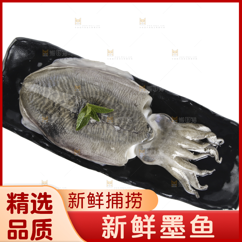 黑板上放着北海墨鱼