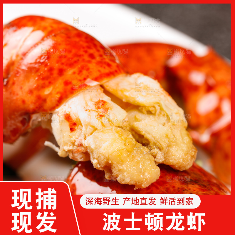 波士顿大龙虾肉