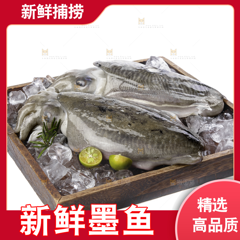 木板上放着墨鱼