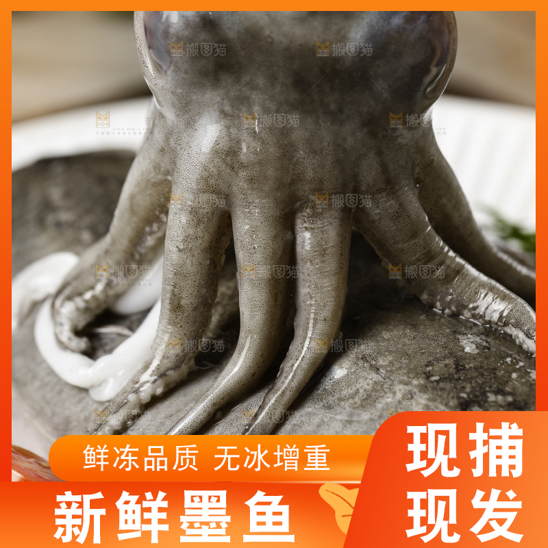盘子里装着的墨鱼
