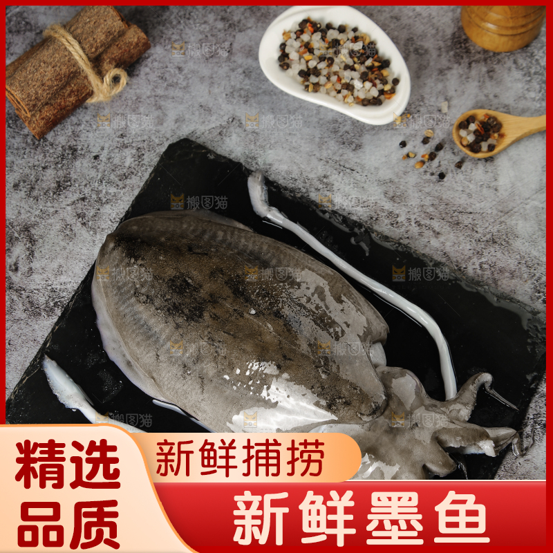黑板上放着墨鱼