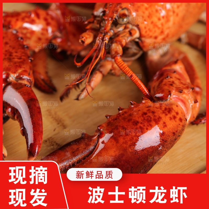 木板上放着波士顿龙虾