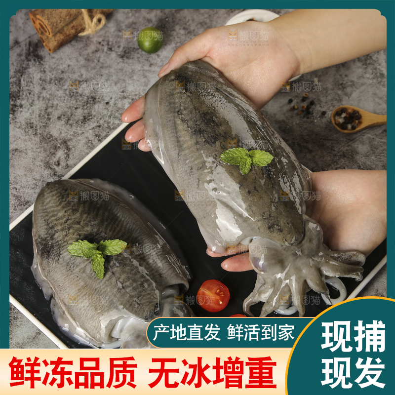手上拿着墨鱼