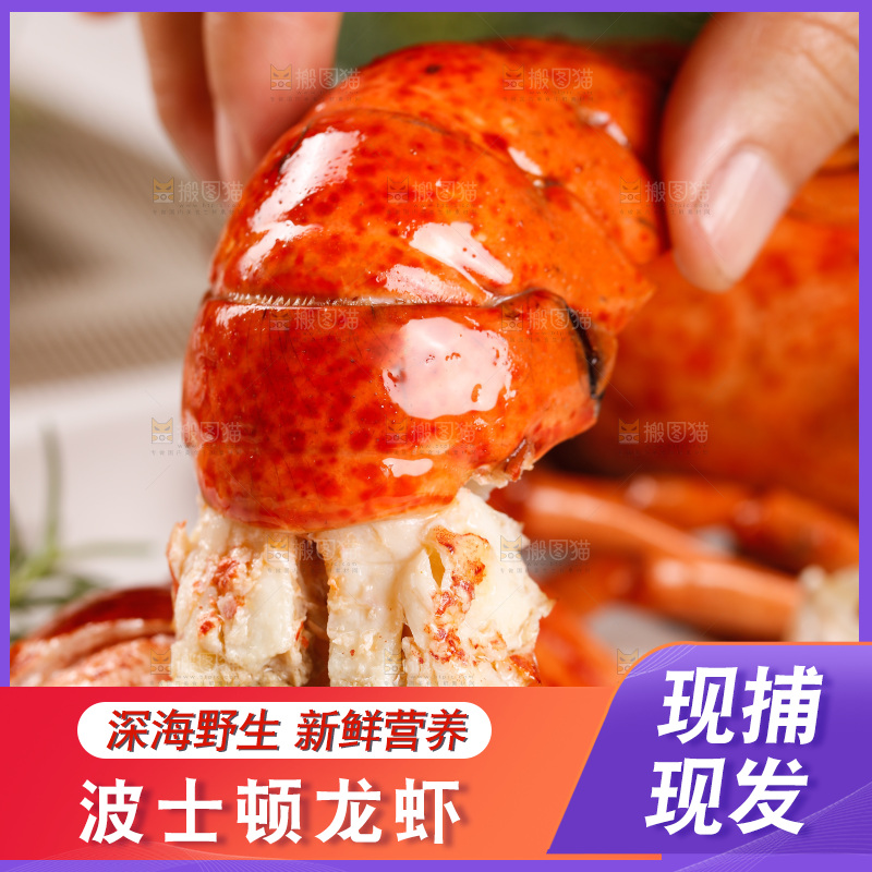 手上拿着波士顿大龙虾