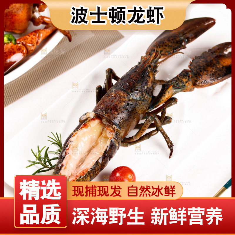 白底上放着澳洲大龙虾