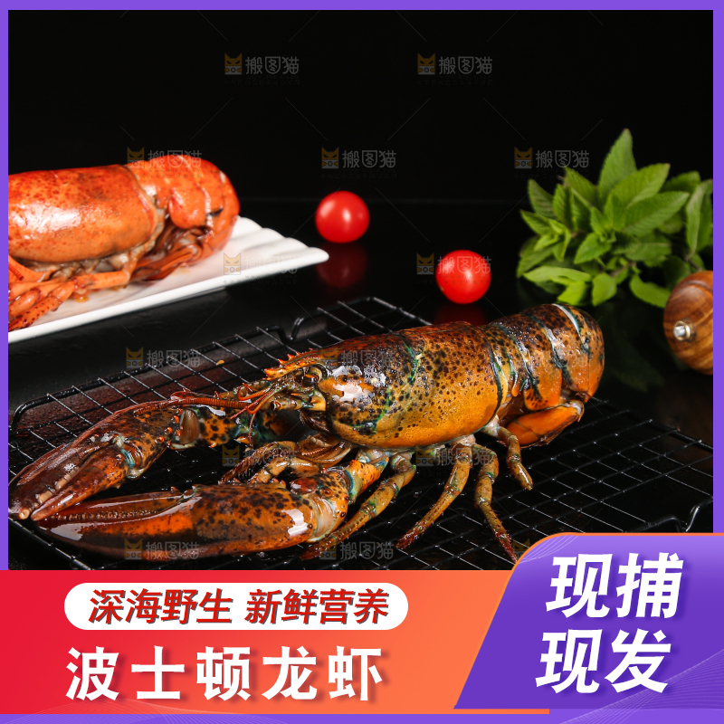 黑底上放着波士顿大龙虾