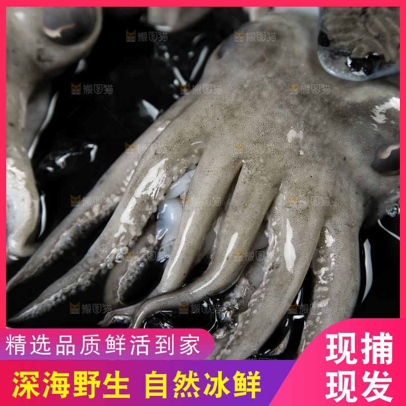 盘子里放着北海墨鱼