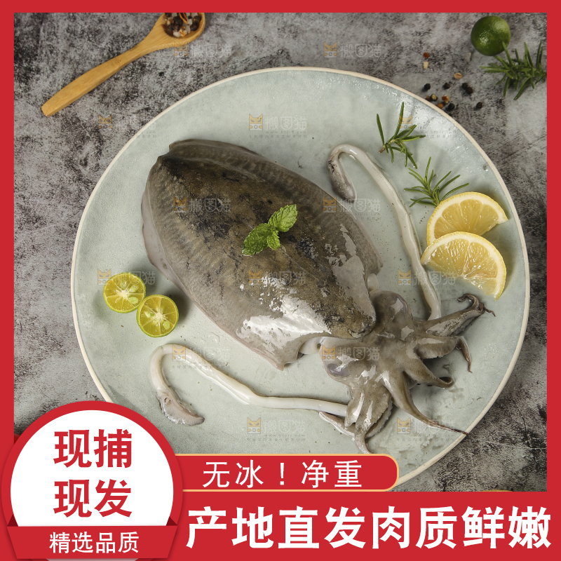 深底上放着一盘墨鱼