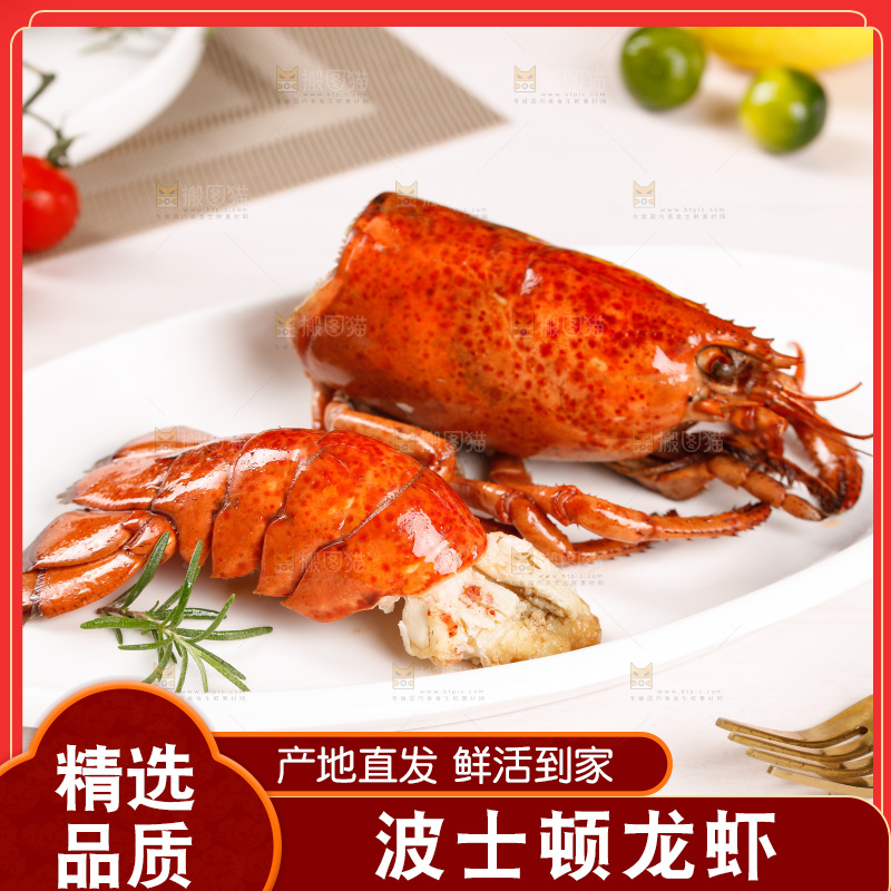 白底上放着一盘波士顿大龙虾