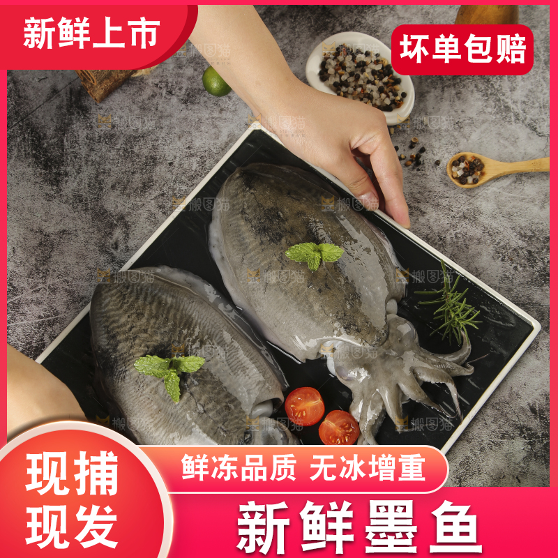 深底上放着墨鱼