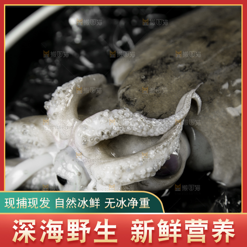 盘子里放着北海墨鱼