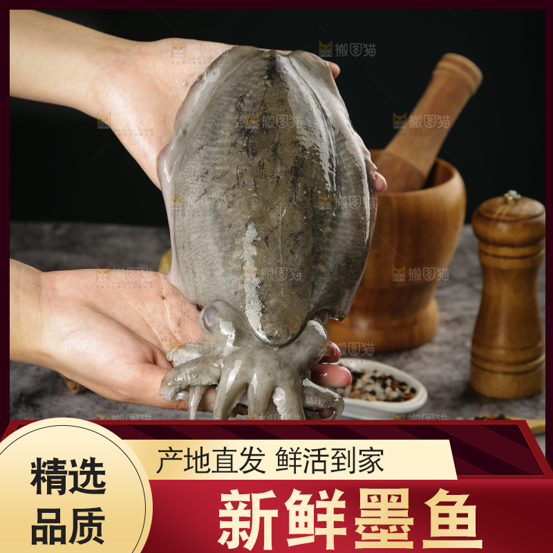 手上拿着墨鱼