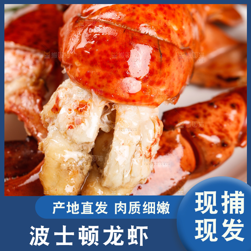 白底上放着波士顿大龙虾