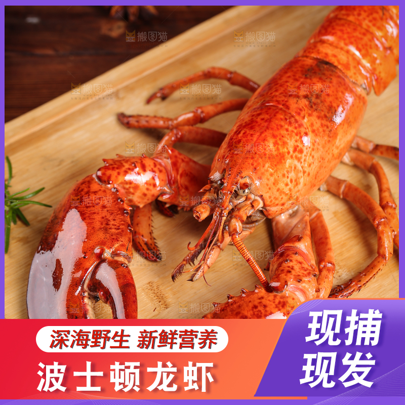 木板上放着波士顿龙虾