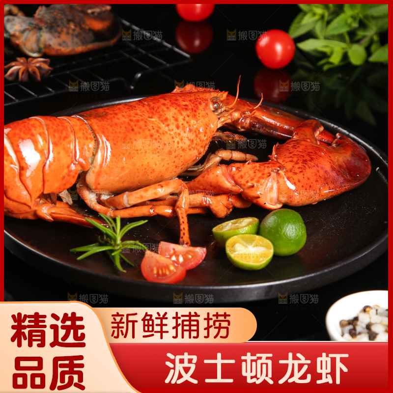 黑底上放着波士顿大龙虾