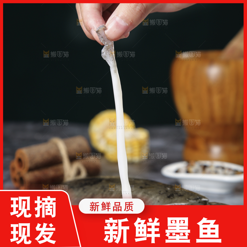 黑板上放着墨鱼