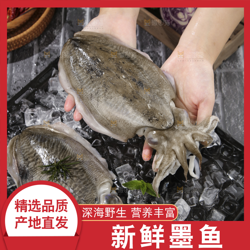 手上捧着的澳洲龙虾