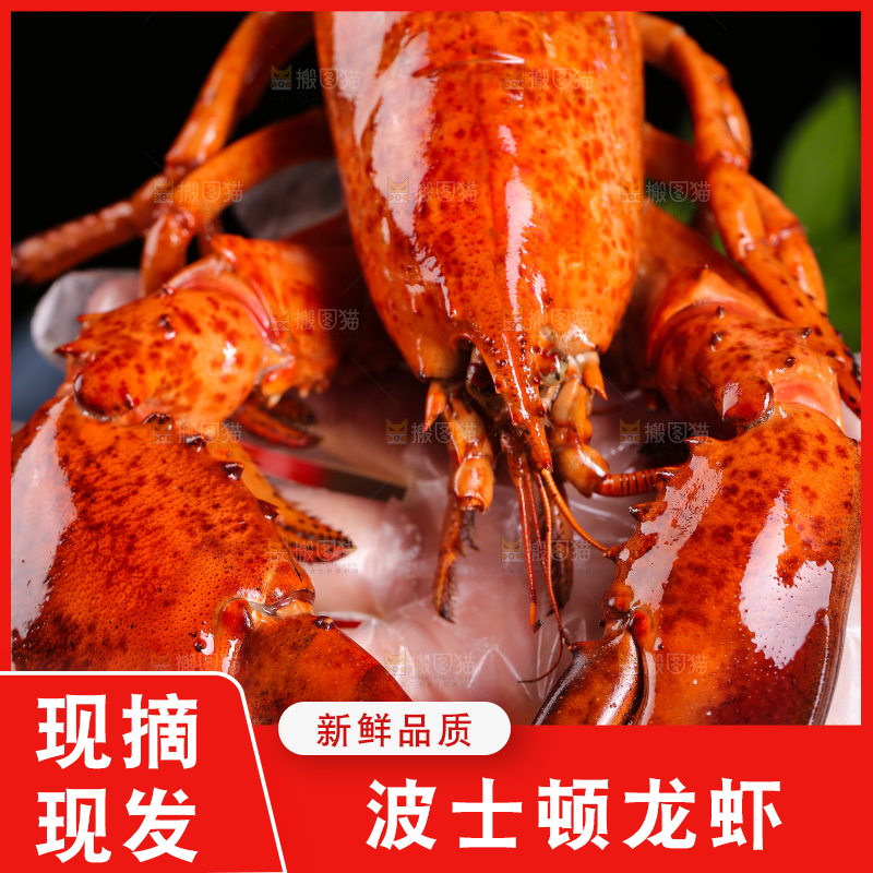 手上捧着波士顿大龙虾