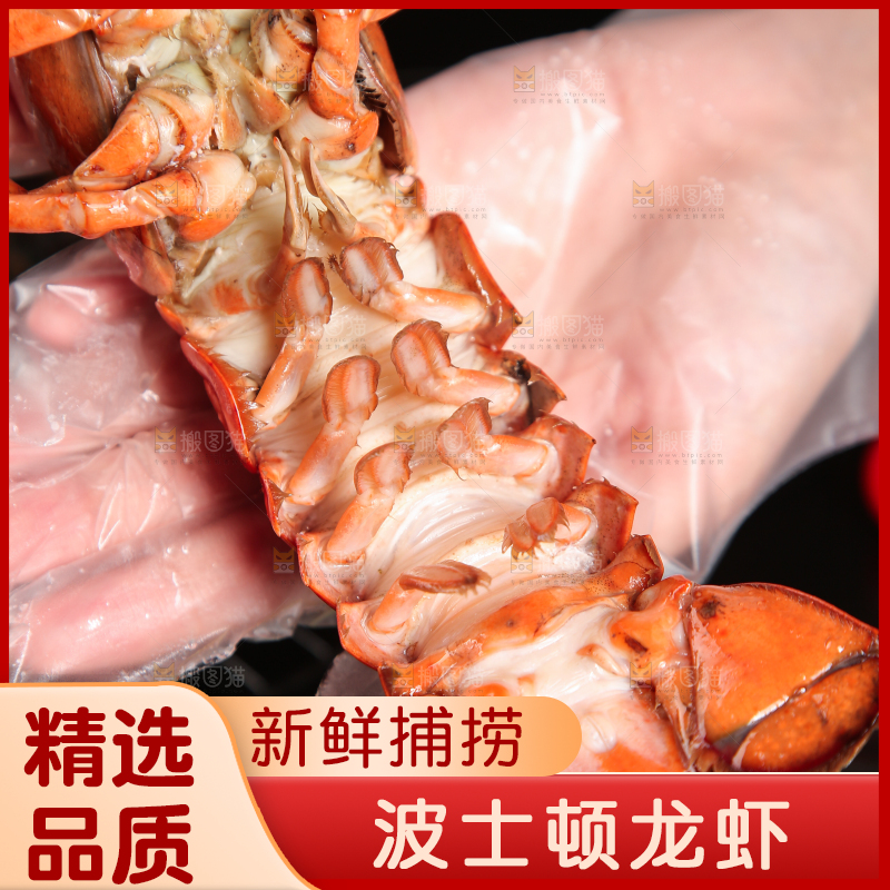 手上捧着波士顿大龙虾