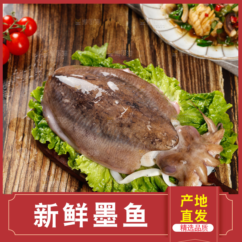 木板上放着大墨鱼